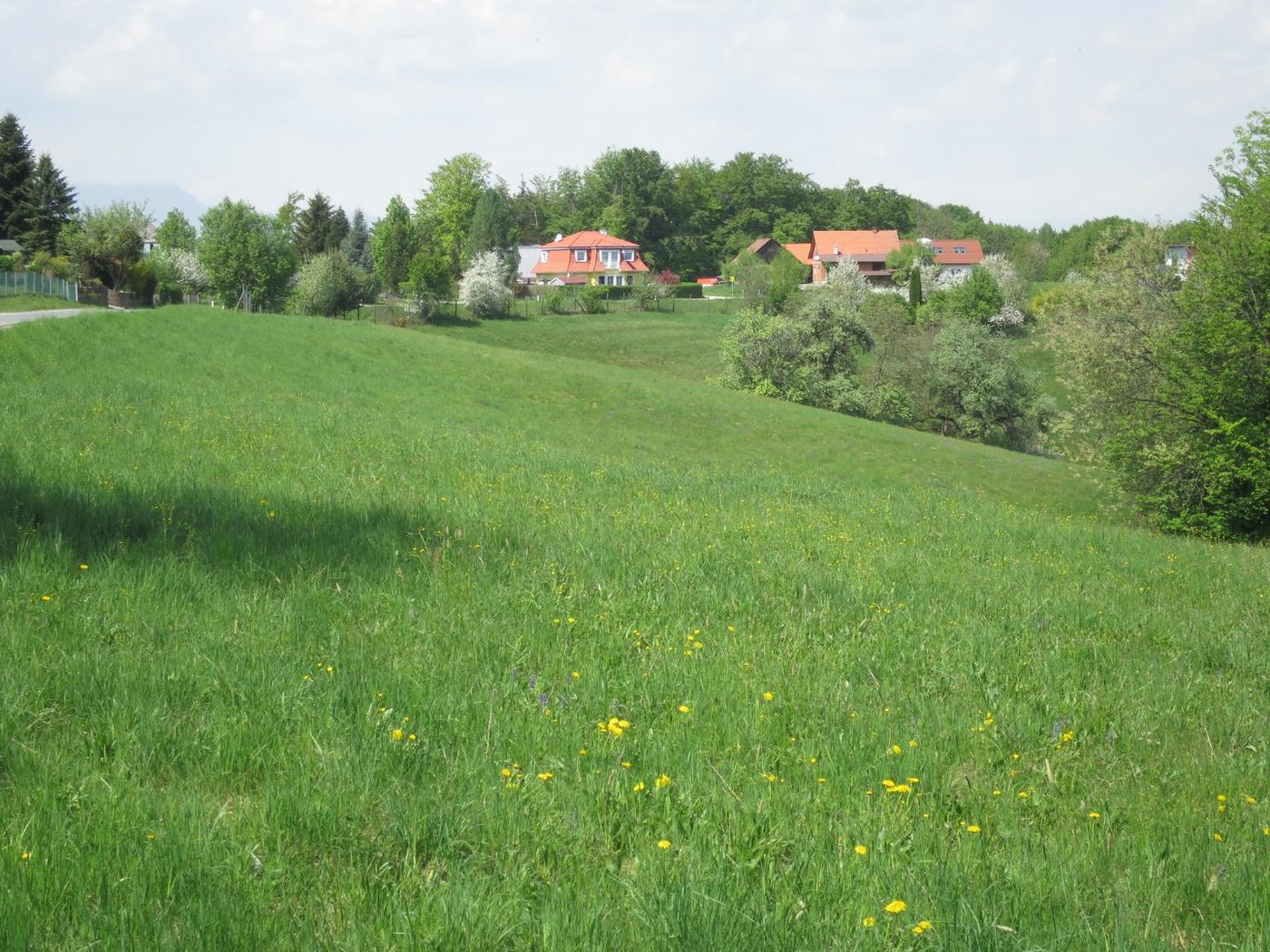 Baugrundstück in herrlicher Grün- und Ruhelage in Laßnitzhöhe-Nestelbachberg